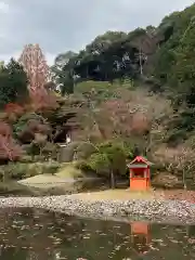 浄瑠璃寺(京都府)