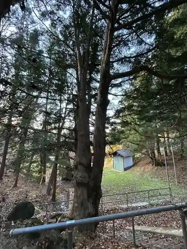 横川天白社(長野県)