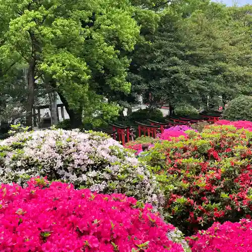 根津神社の自然