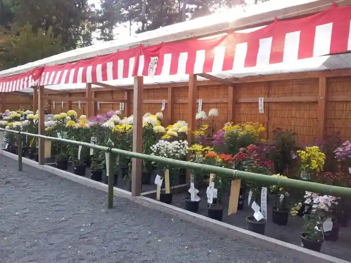 川勾神社の自然