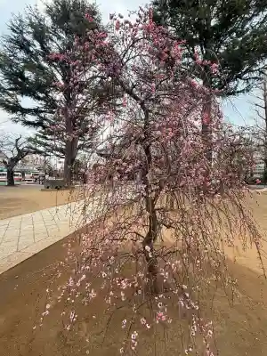 寛永寺(根本中堂)の{uncategorized: "未分類", other: "その他", undefined: "問題あり", building: "その他建物", grave: "お墓", sacred_gate: "鳥居", guardian: "狛犬", statue: "像", buddha: "仏像", history: "歴史", nature: "自然", garden: "庭園", animal: "動物", pagoda: "塔", temizu: "手水舎", mountain_gate: "山門・神門", sanctuary: "本殿・本堂", subordinate: "末社・摂社", art: "芸術", scenery: "景色", jizo: "地蔵", ema: "絵馬", goshuin: "御朱印", omikuji: "おみくじ", items: "授与品その他", amulet: "お守り", goshuincho: "御朱印帳", eats: "食事", festival: "お祭り", votive_dance: "神楽", shichigosan: "七五三参", wedding: "結婚式", experience: "体験その他", initially: "初詣", around: "周辺", anti_infection: "感染症対策"}