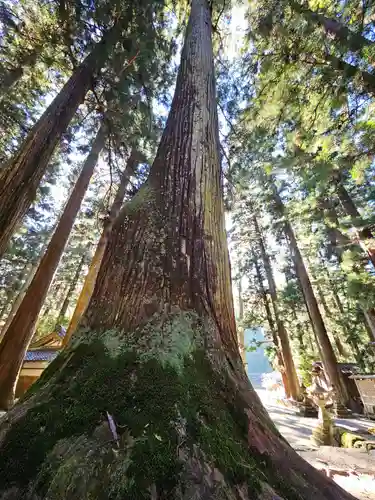 室生龍穴神社の自然