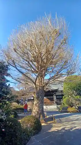 高円寺(東京都)