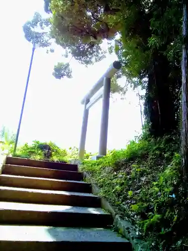 根渡神社の鳥居