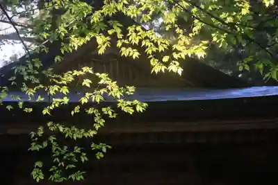 鹿島大神宮の景色