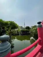 亀戸天神社の庭園