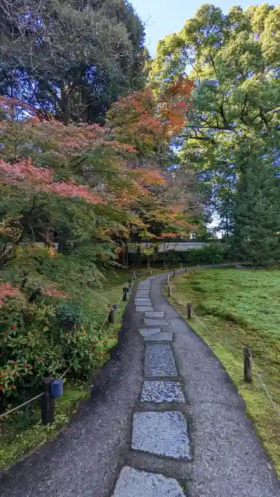 青蓮院門跡(京都府)