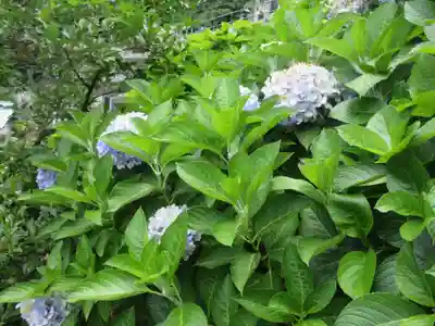 山之神社の自然