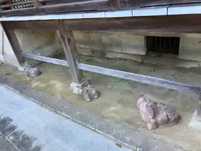 妙巌寺の本殿・本堂