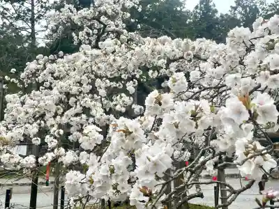 大原野神社の{uncategorized: "未分類", other: "その他", undefined: "問題あり", building: "その他建物", grave: "お墓", sacred_gate: "鳥居", guardian: "狛犬", statue: "像", buddha: "仏像", history: "歴史", nature: "自然", garden: "庭園", animal: "動物", pagoda: "塔", temizu: "手水舎", mountain_gate: "山門・神門", sanctuary: "本殿・本堂", subordinate: "末社・摂社", art: "芸術", scenery: "景色", jizo: "地蔵", ema: "絵馬", goshuin: "御朱印", omikuji: "おみくじ", items: "授与品その他", amulet: "お守り", goshuincho: "御朱印帳", eats: "食事", festival: "お祭り", votive_dance: "神楽", shichigosan: "七五三参", wedding: "結婚式", experience: "体験その他", initially: "初詣", around: "周辺", anti_infection: "感染症対策"}