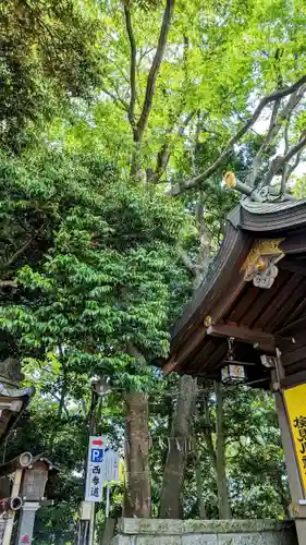検見川神社の自然