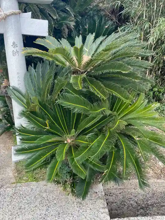 三浦神社(長崎県)