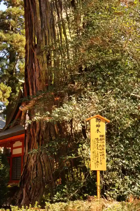 香取神宮(千葉県)