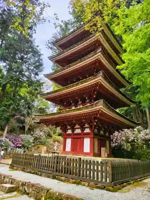 室生寺の塔