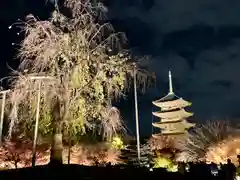 東寺（教王護国寺）の庭園