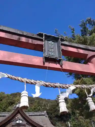 白鬚神社の鳥居