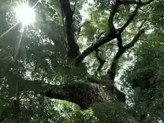 七狩長田貫神社の自然