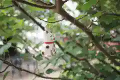 今戸神社(東京都)