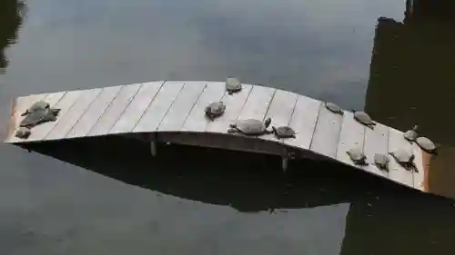 善光寺大勧進(長野県)