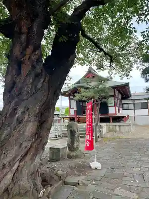 圓應寺(山形県)