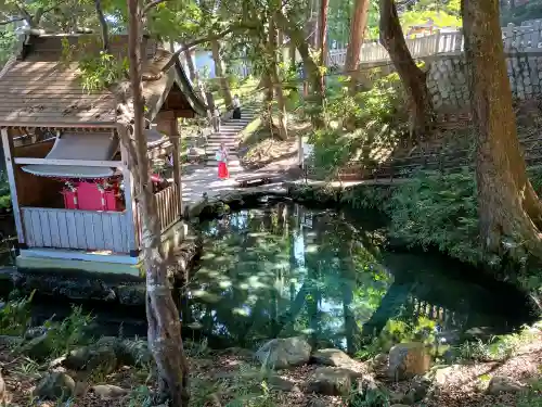 泉神社の{uncategorized: "未分類", other: "その他", undefined: "問題あり", building: "その他建物", grave: "お墓", sacred_gate: "鳥居", guardian: "狛犬", statue: "像", buddha: "仏像", history: "歴史", nature: "自然", garden: "庭園", animal: "動物", pagoda: "塔", temizu: "手水舎", mountain_gate: "山門・神門", sanctuary: "本殿・本堂", subordinate: "末社・摂社", art: "芸術", scenery: "景色", jizo: "地蔵", ema: "絵馬", goshuin: "御朱印", omikuji: "おみくじ", items: "授与品その他", amulet: "お守り", goshuincho: "御朱印帳", eats: "食事", festival: "お祭り", votive_dance: "神楽", shichigosan: "七五三参", wedding: "結婚式", experience: "体験その他", initially: "初詣", around: "周辺", anti_infection: "感染症対策"}