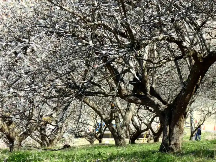 壽命院 永徳寺の自然