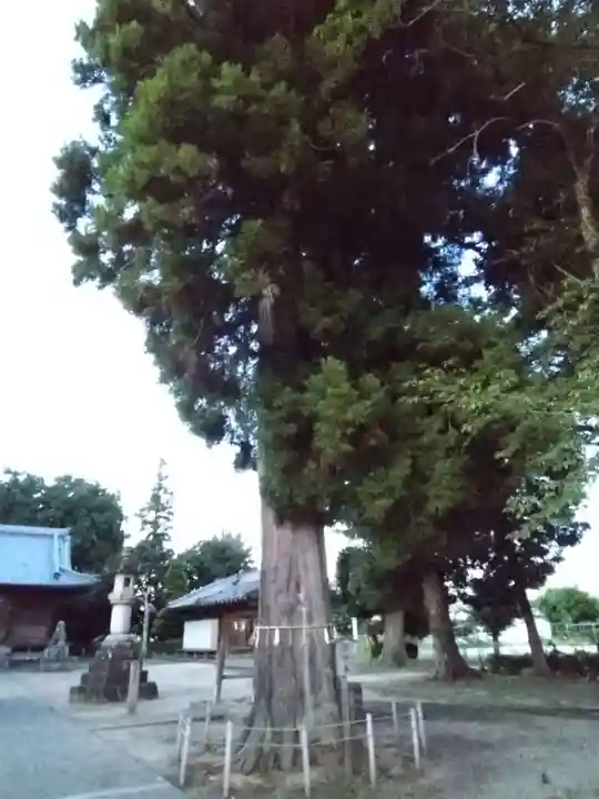 守公神社(愛知県)