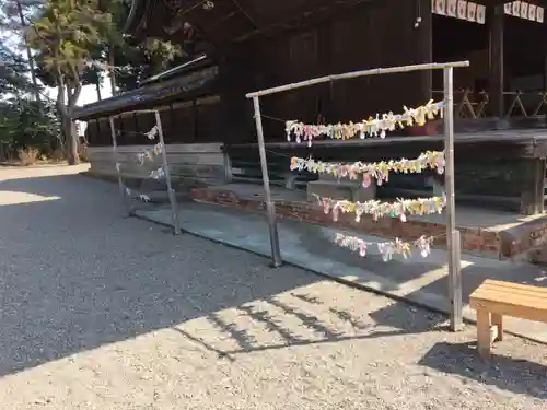 八坂神社のおみくじ