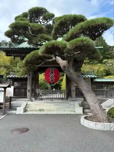 長谷寺(神奈川県)