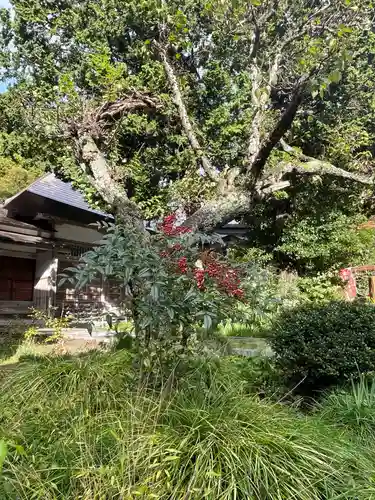 国上寺(新潟県)