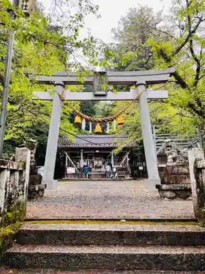 天鷹神社(岐阜県)