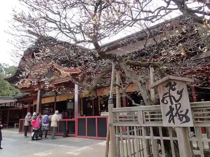 太宰府天満宮の自然