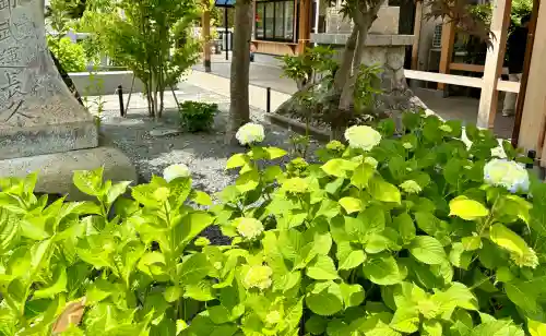 總社 和田八幡宮の{uncategorized: "未分類", other: "その他", undefined: "問題あり", building: "その他建物", grave: "お墓", sacred_gate: "鳥居", guardian: "狛犬", statue: "像", buddha: "仏像", history: "歴史", nature: "自然", garden: "庭園", animal: "動物", pagoda: "塔", temizu: "手水舎", mountain_gate: "山門・神門", sanctuary: "本殿・本堂", subordinate: "末社・摂社", art: "芸術", scenery: "景色", jizo: "地蔵", ema: "絵馬", goshuin: "御朱印", omikuji: "おみくじ", items: "授与品その他", amulet: "お守り", goshuincho: "御朱印帳", eats: "食事", festival: "お祭り", votive_dance: "神楽", shichigosan: "七五三参", wedding: "結婚式", experience: "体験その他", initially: "初詣", around: "周辺", anti_infection: "感染症対策"}