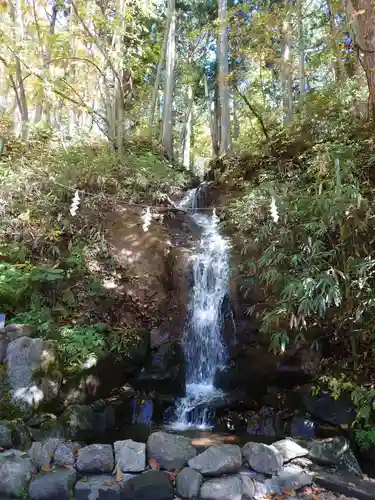 戸隠神社中社の自然