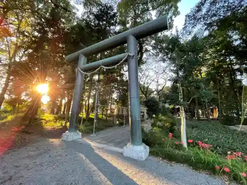 三嶋神社の鳥居