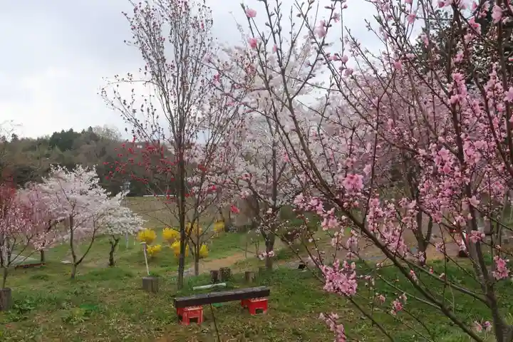 阿久津「田村神社」(郡山市阿久津町)旧社名:伊豆箱根三嶋三社の庭園