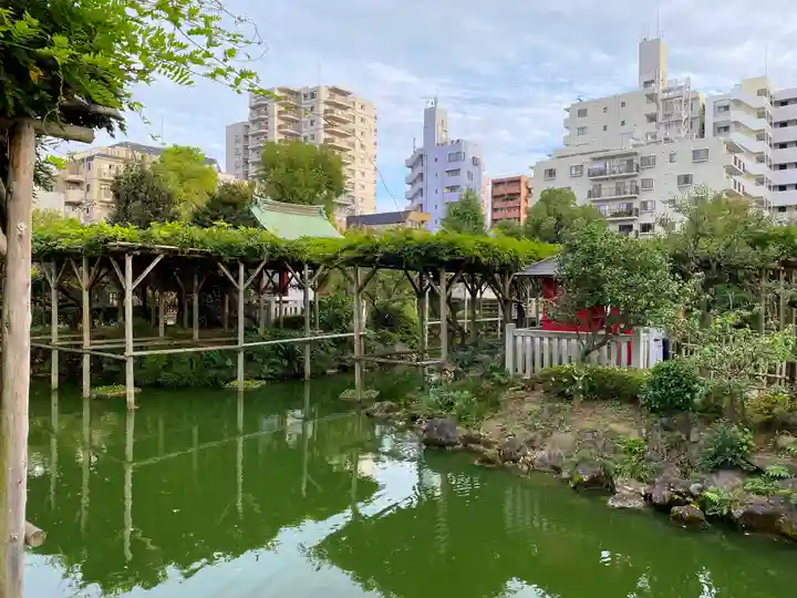 亀戸天神社の庭園