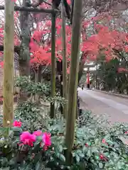 宇治上神社(京都府)