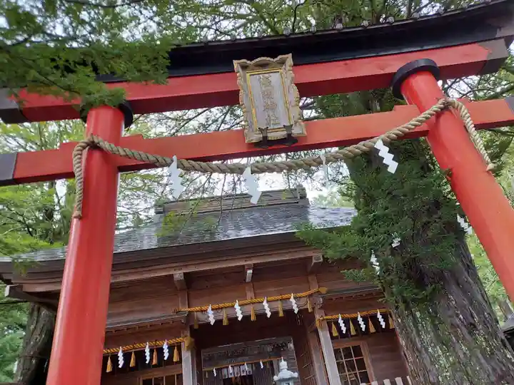 淺間神社(忍野八海)の鳥居