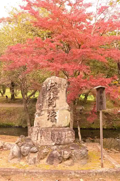 大覚寺(京都府)