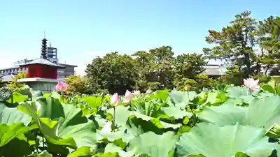 白山神社(新潟県)