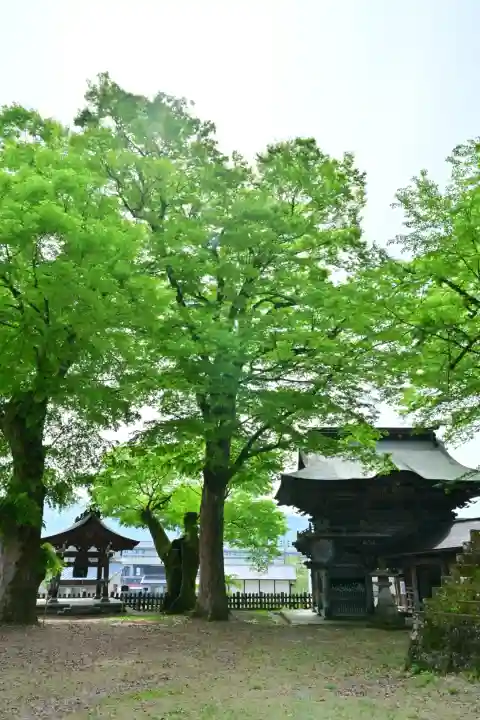 普光寺(新潟県)