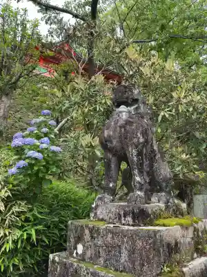 熊野那智大社(和歌山県)