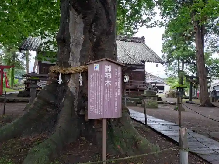 白鳥神社(長野県)
