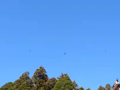 宝厳寺(滋賀県)