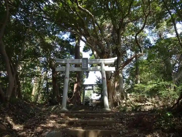 縣神社の鳥居
