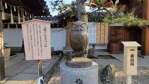 射楯兵主神社(兵庫県)