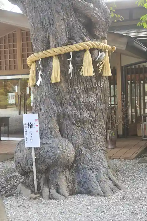 座間神社の自然