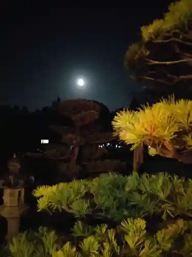 伏木香取神社の庭園