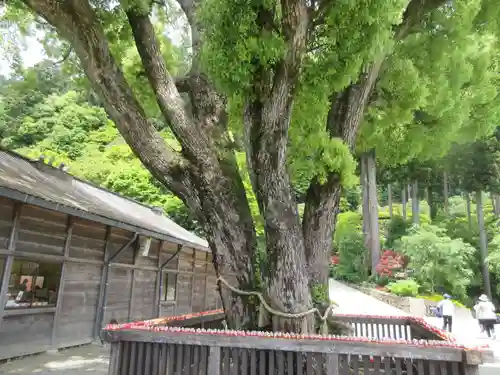 勝尾寺(大阪府)